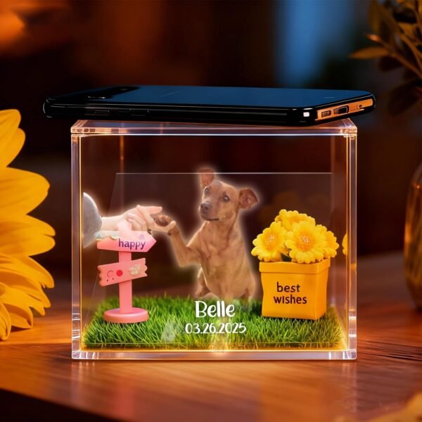 Custom Pet Holographic Digital House
